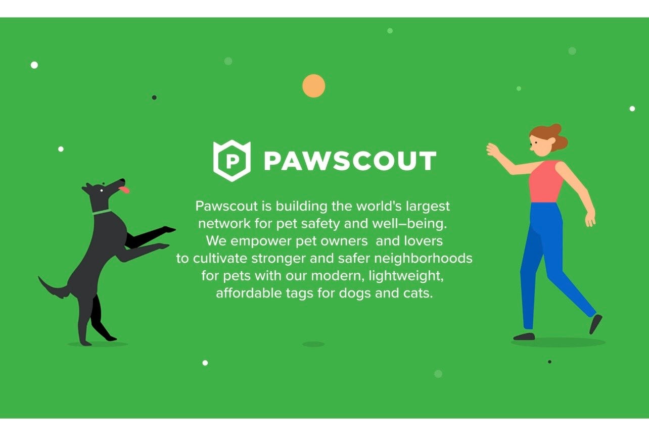 Smart Pet Tag
