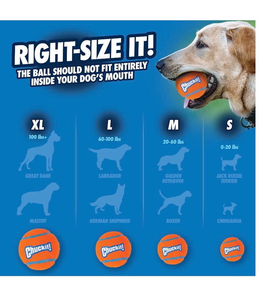 Chuckit! Tennis balls 2Pk