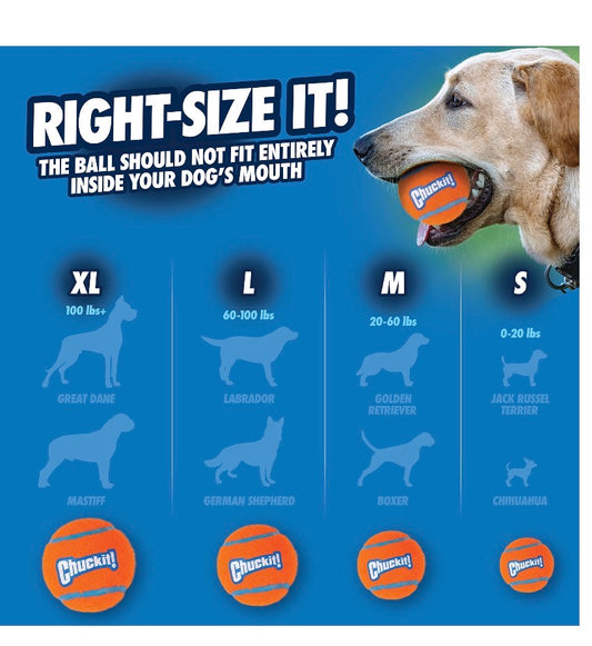 Pelotas de tenis Chuckit! (paquete de 2)