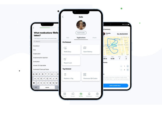 Etiqueta inteligente para mascotas