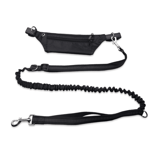Hands-Free Dog Leash: The Ultimate Freedom For Active Dog Owners-10
