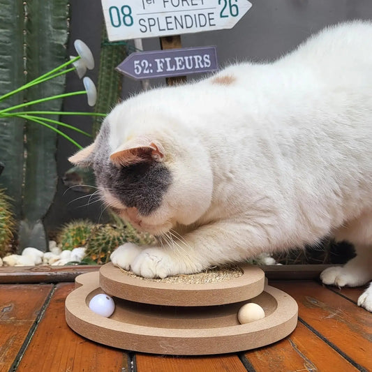 Almohadilla para Gatos Purrfect Playtime