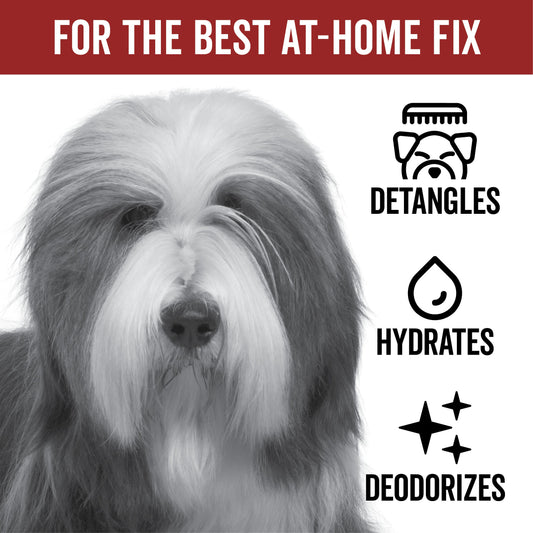 DOGDAYS Leave-In Detangling Spray