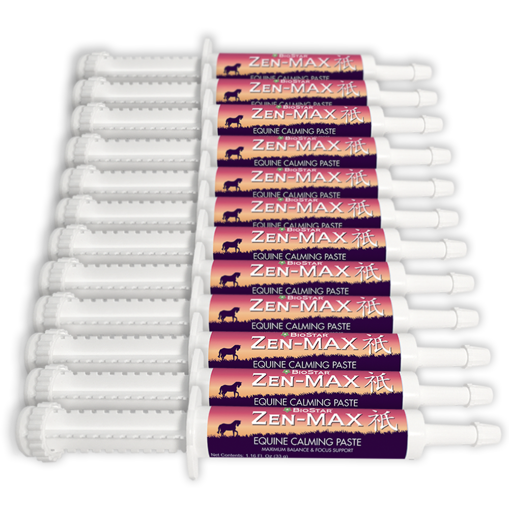 Zen Equine Syringes