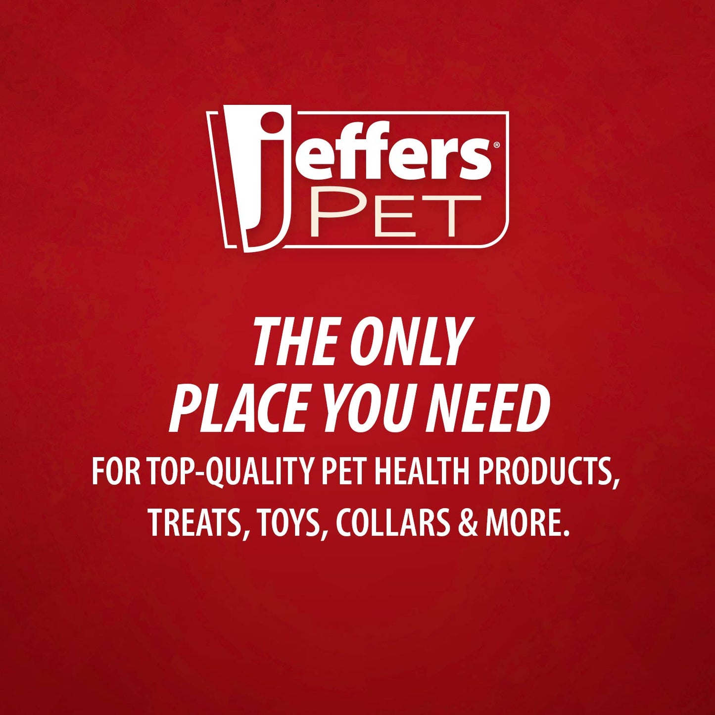 Shampoing Hypoallergénique Entièrement Naturel à l'Avoine et à la Pomme Jeffers Pet pour Chiens et Chats à Peau Sèche