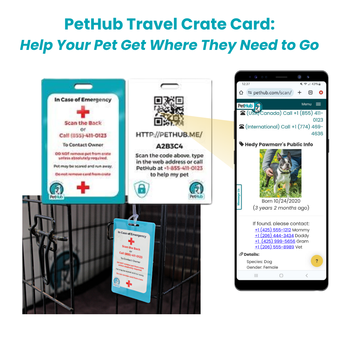 Identificación de mascotas con QR: Tarjeta para jaula de transporte