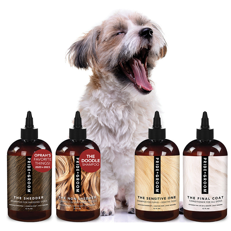 EL PAQUETE DE MUESTRAS PARA EL BAÑO — Prueba los champús y acondicionadores para perros más vendidos de PRIDE+GROOM