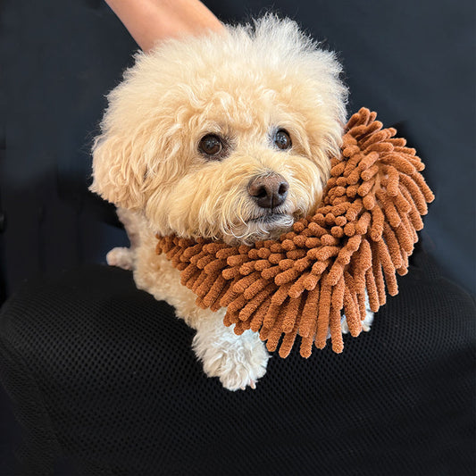 THE MAGIC MITT