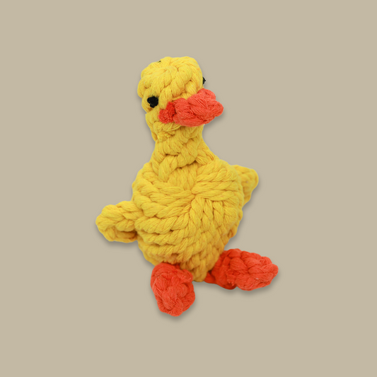 Sunny the Yellow Duck Rope Toy-1