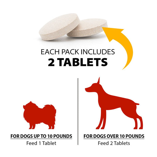 Desintoxicación de chocolate para perros, 2 comprimidos