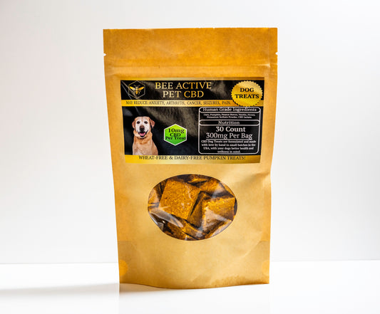 Bee Active CBD Dog Treats — Daily Wellness — Pumpkin and Peanut-1