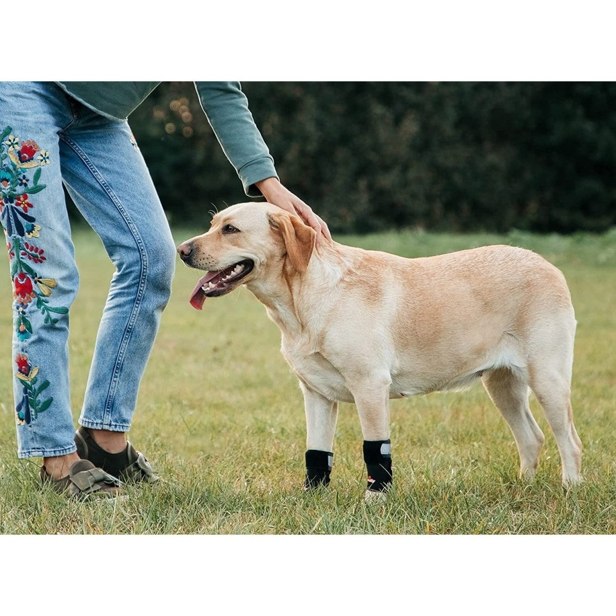 NeoAlly Férula de Soporte de Pata Delantera 3 en 1 para Perro: Inserciones Rígidas y de Resorte, Correas Reflectoras de Seguridad (Par)