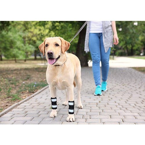 Rodillera delantera NeoAlly para perro con correas reflectantes - Insertos de resorte metálicos para soporte carpiano (par)