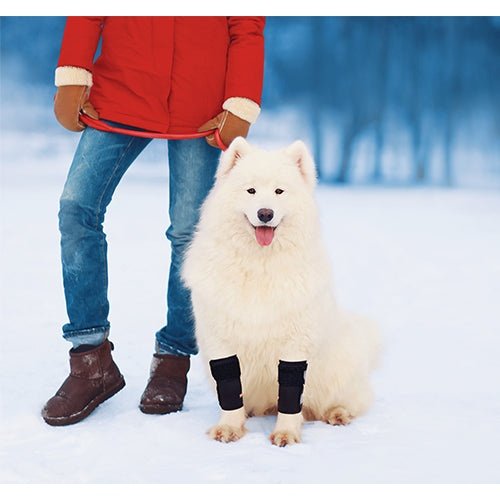 NeoAlly Rodilleras Delanteras para Perros: Mejora la Seguridad con Correas Reflectantes (Par)