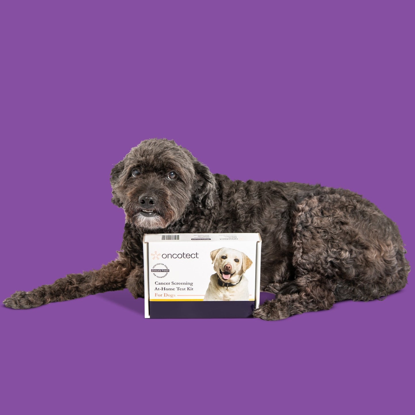 Kit de dépistage essentiel du cancer du chien à domicile Oncotect