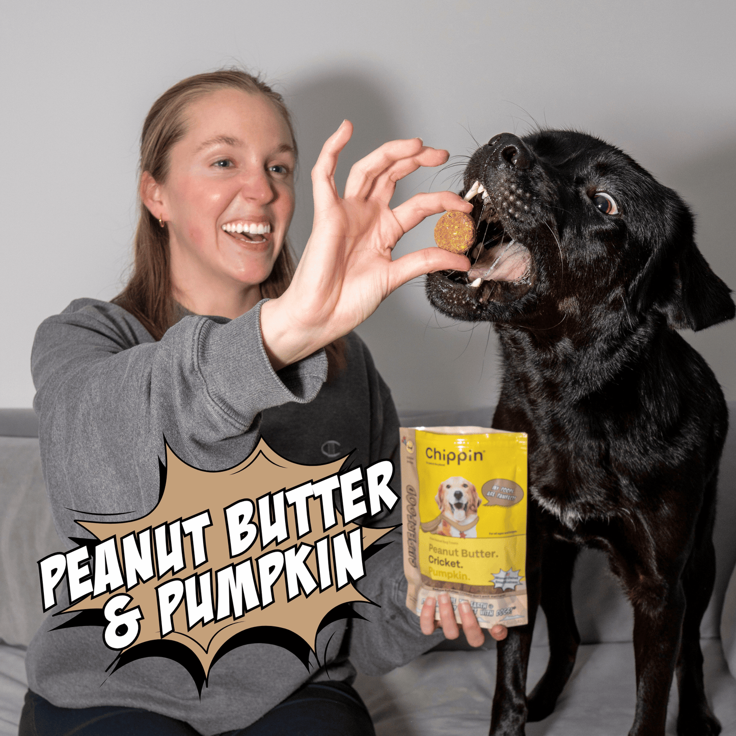 Crunchy Dog Biscuit Bundle, 4-Pack