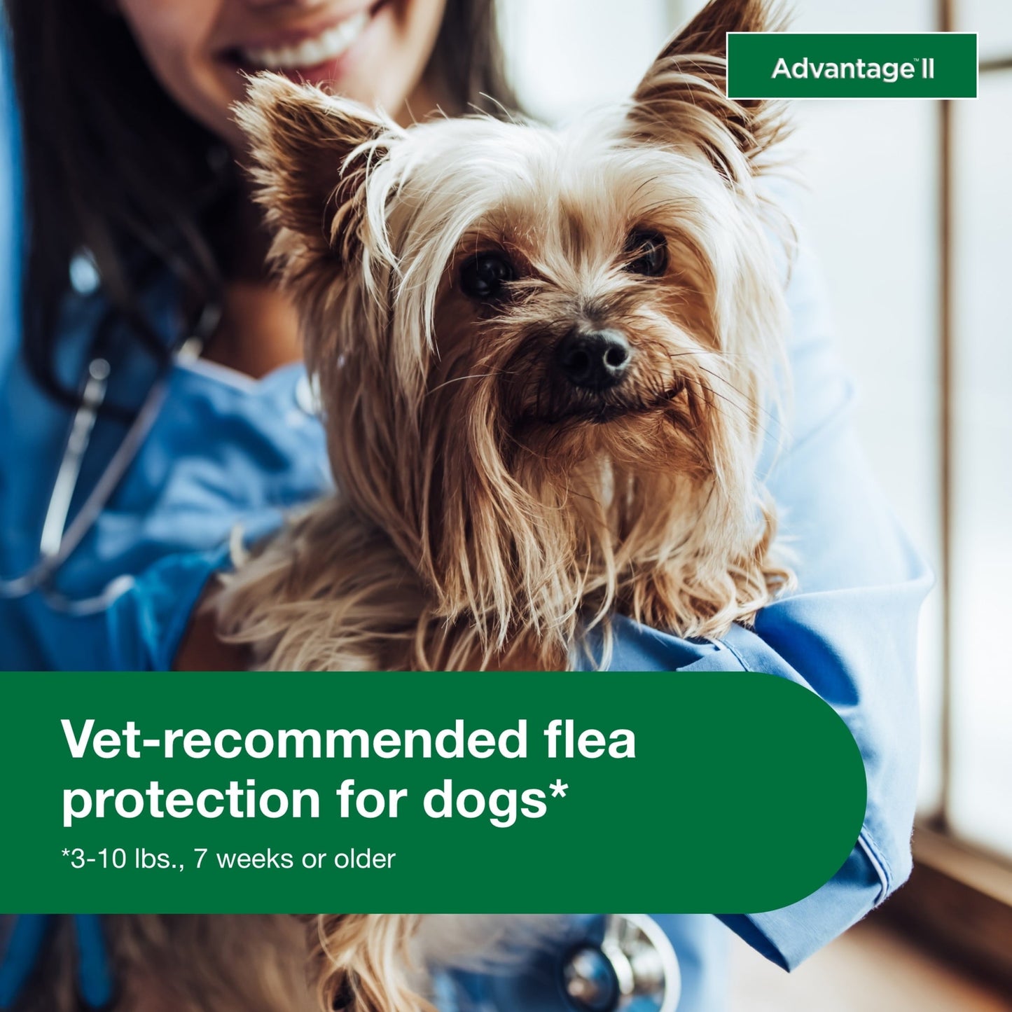 Prévention des puces recommandée par les vétérinaires pour les petits chiens de 1,3 à 4,5 kg, 6 traitements mensuels