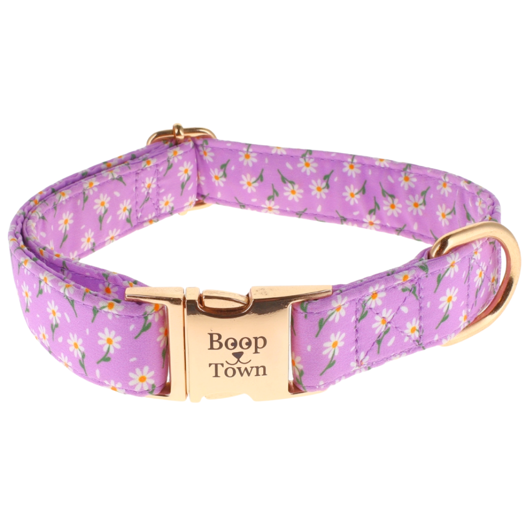 Collier pour chien Boop Town en coton doux – Anti-nœuds et noyau en nylon durable – Boucle à dégagement rapide en métal – Ajustable pour chiens de petite, moyenne et grande taille (XL) – Accents dorés