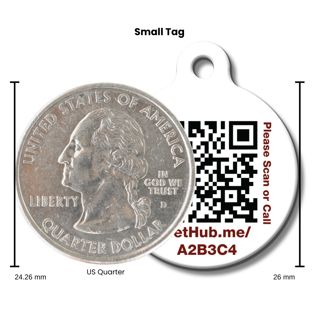 Plaque d'identité connectée pour animaux - Complètement perdue