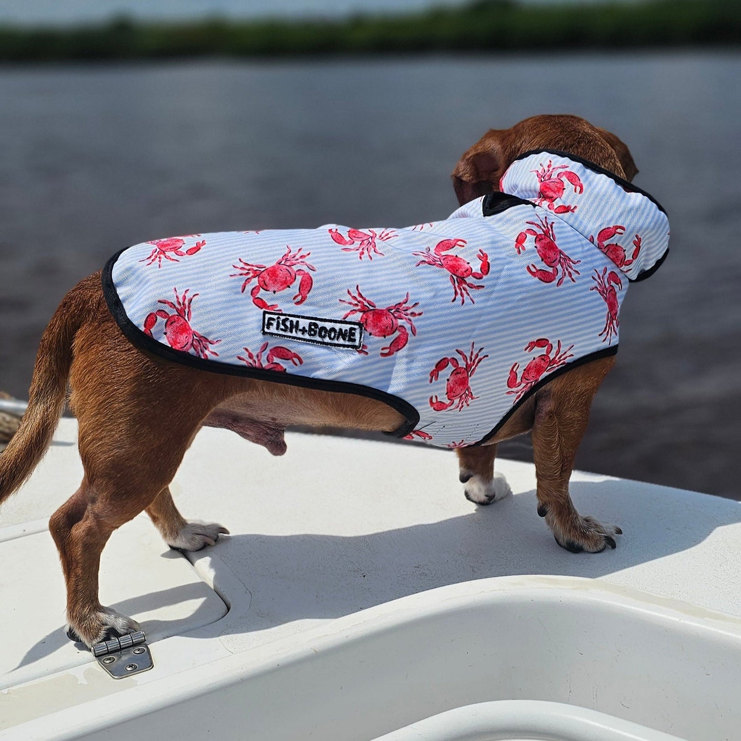 Abrigo para perro Lowcountry Proper