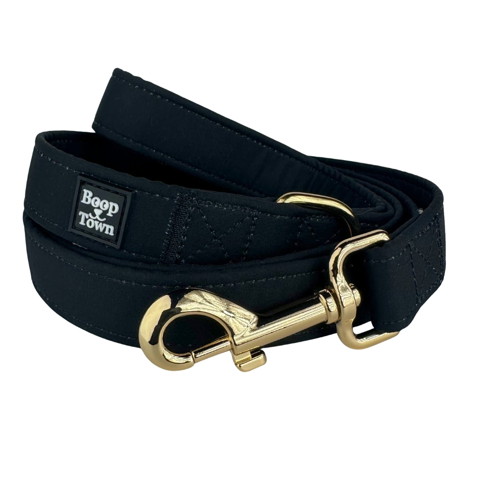 Laisses pour chiens