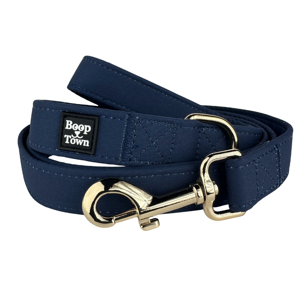 Laisses pour chiens