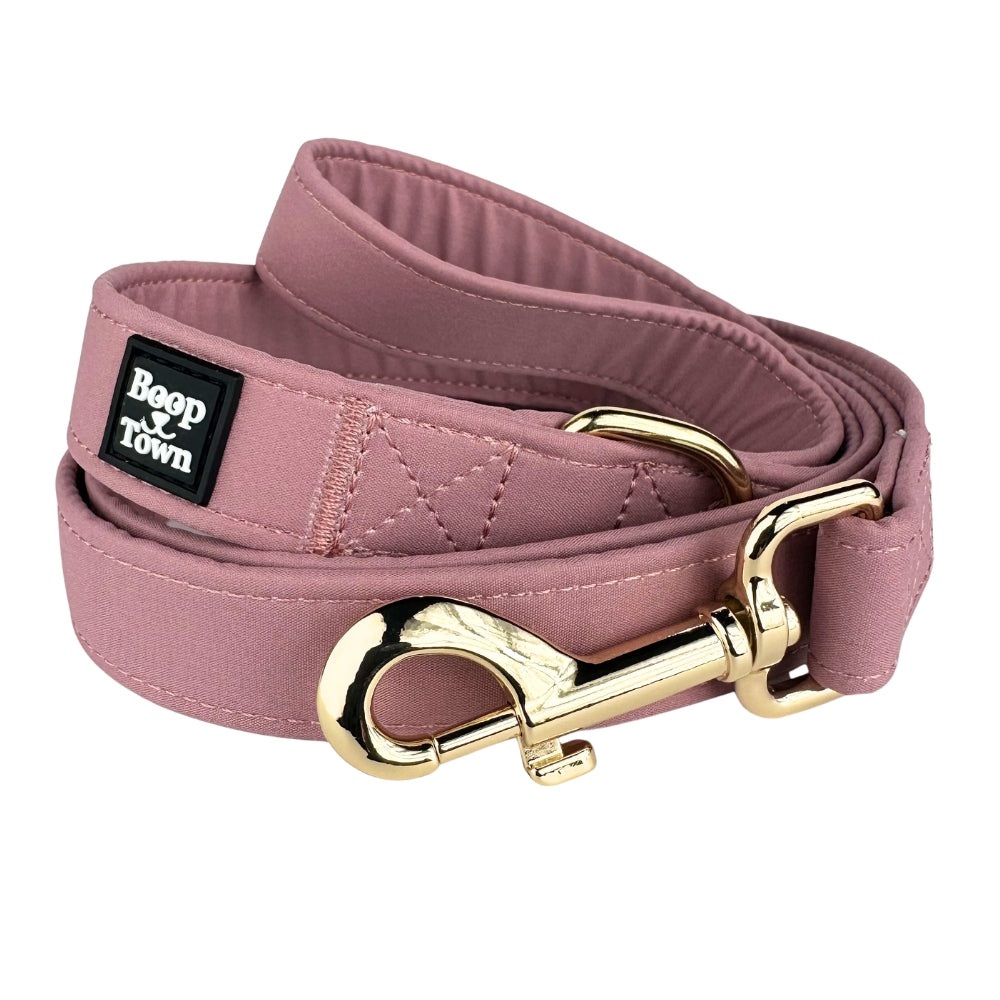 Laisses pour chiens
