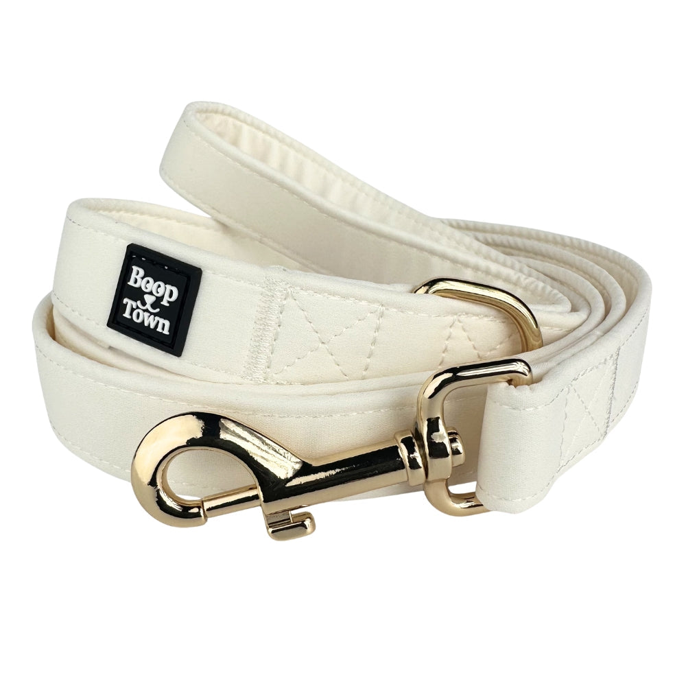 Laisses pour chiens