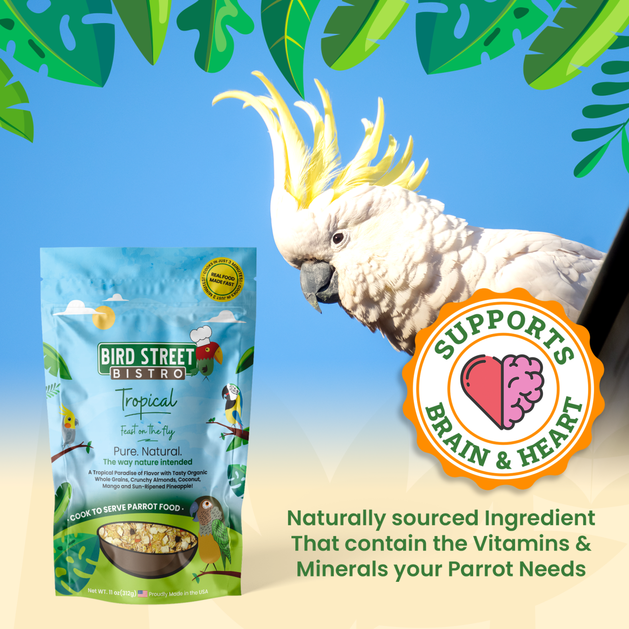 Parrot Food Super-Pack