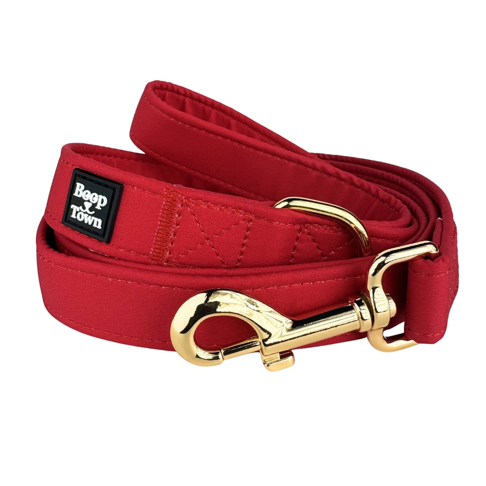 Laisses pour chiens