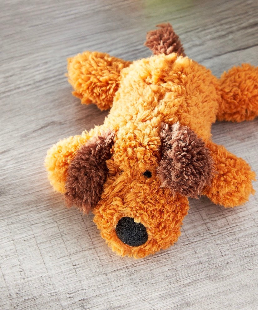 Cozy Teddy