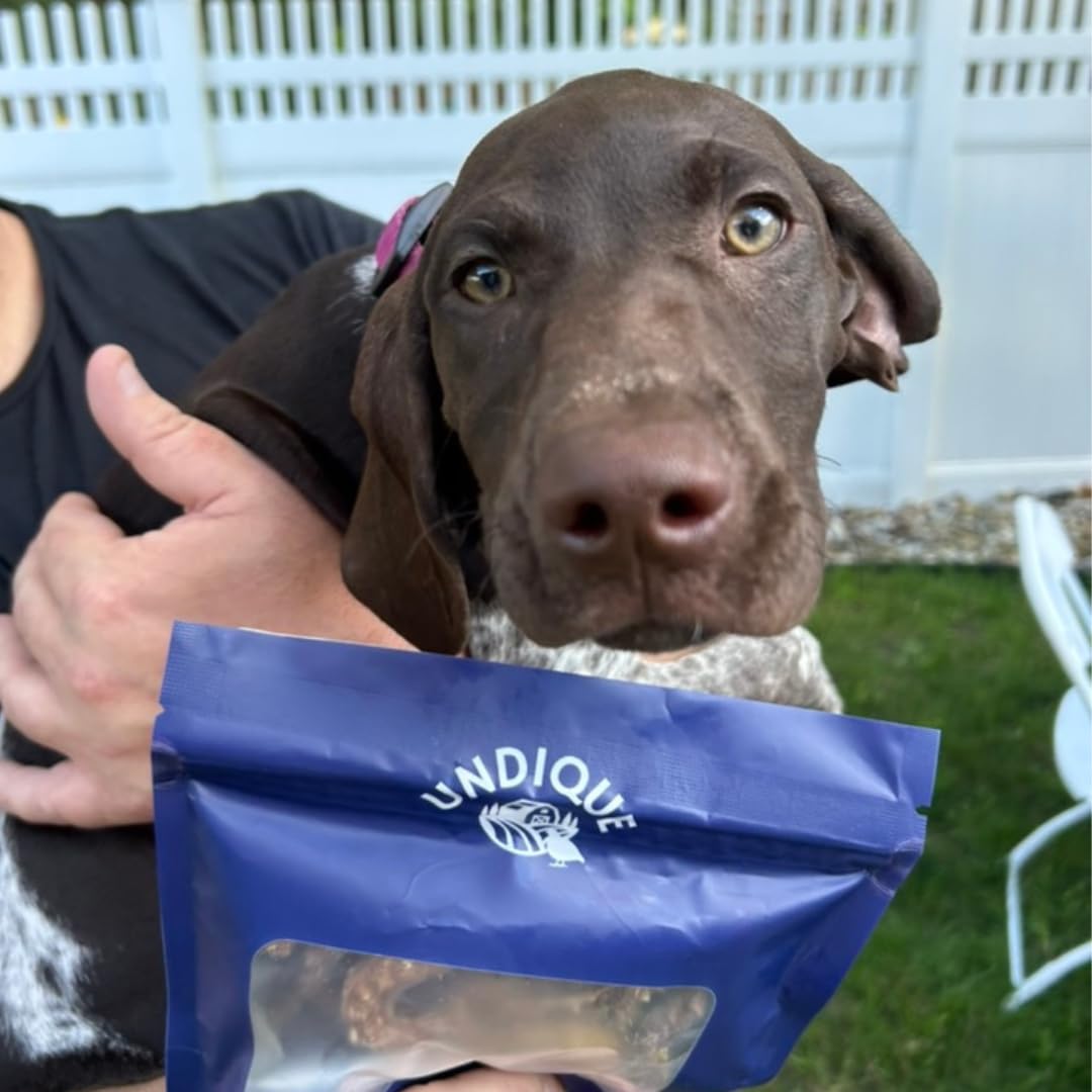 Premios para perros Quail Crunch Sticks, 10 unidades, espinas de codorniz, golosinas gourmet deshidratadas y saludables para entrenamiento de perros, sabores premium que promueven la salud dental, sin aditivos artificiales para mascotas felices.