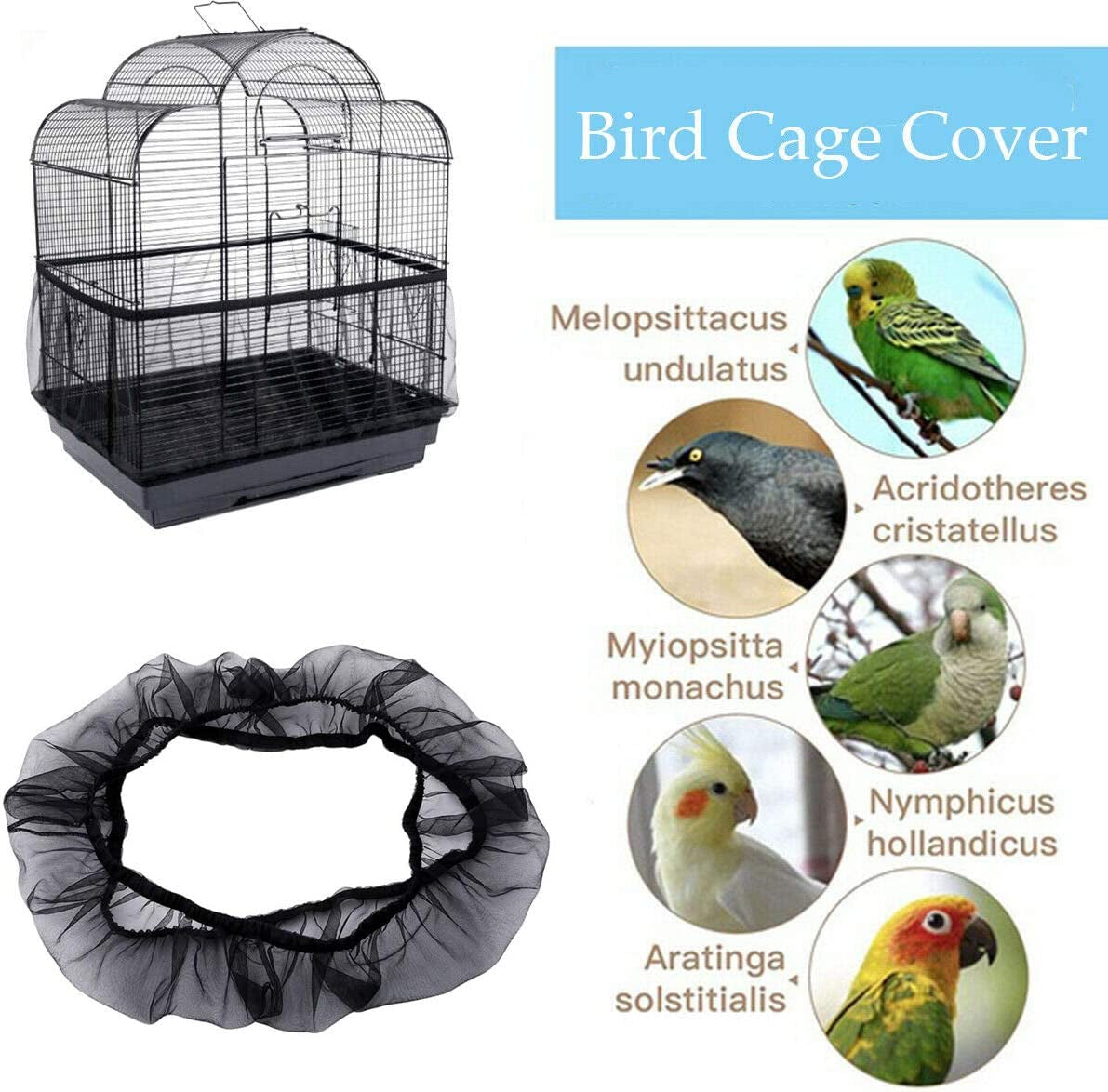 Receptor de semillas universal para jaulas de pájaros