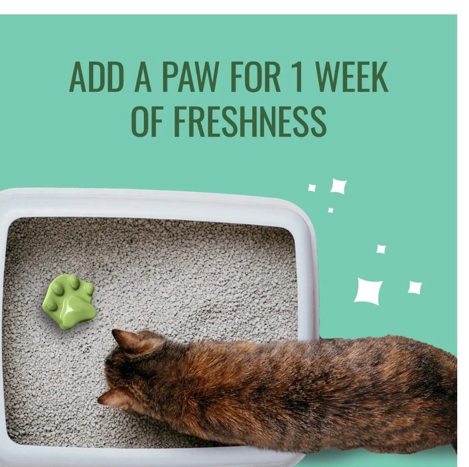 Litter Paws