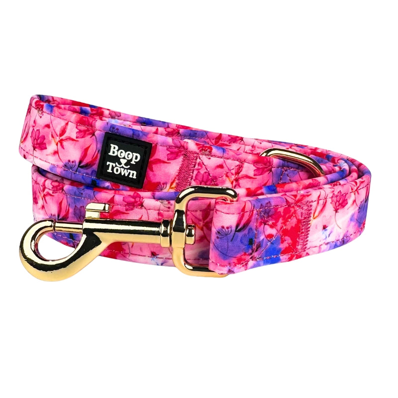 Laisses pour chiens
