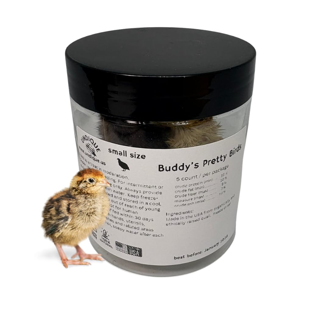 Whole Quail for Carnivore Pets - Premium Quality Natural Pet Treats Quail - Natural Prey Feeding Quail - Freeze-Dried for Essential Nutrients and Enzymes Small Size 5 Count