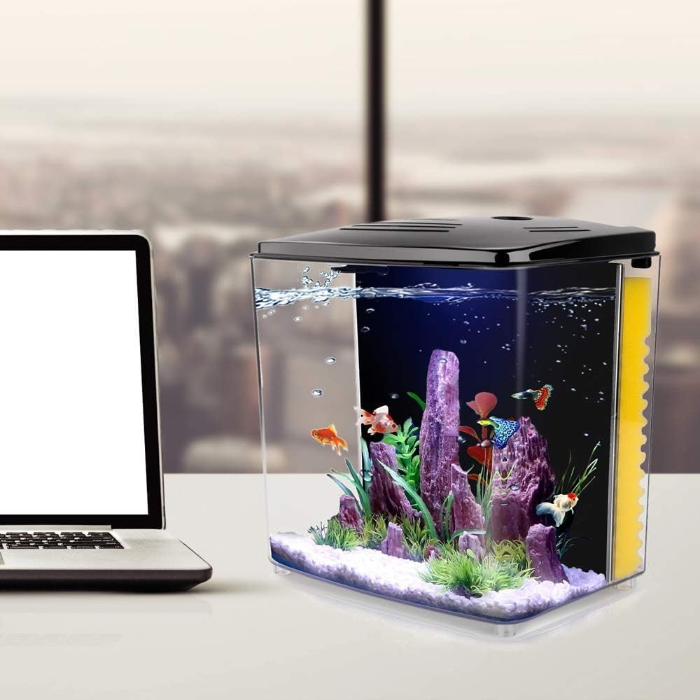 Acuario para Betta de 1.2 galones con luz LED y bomba de filtro