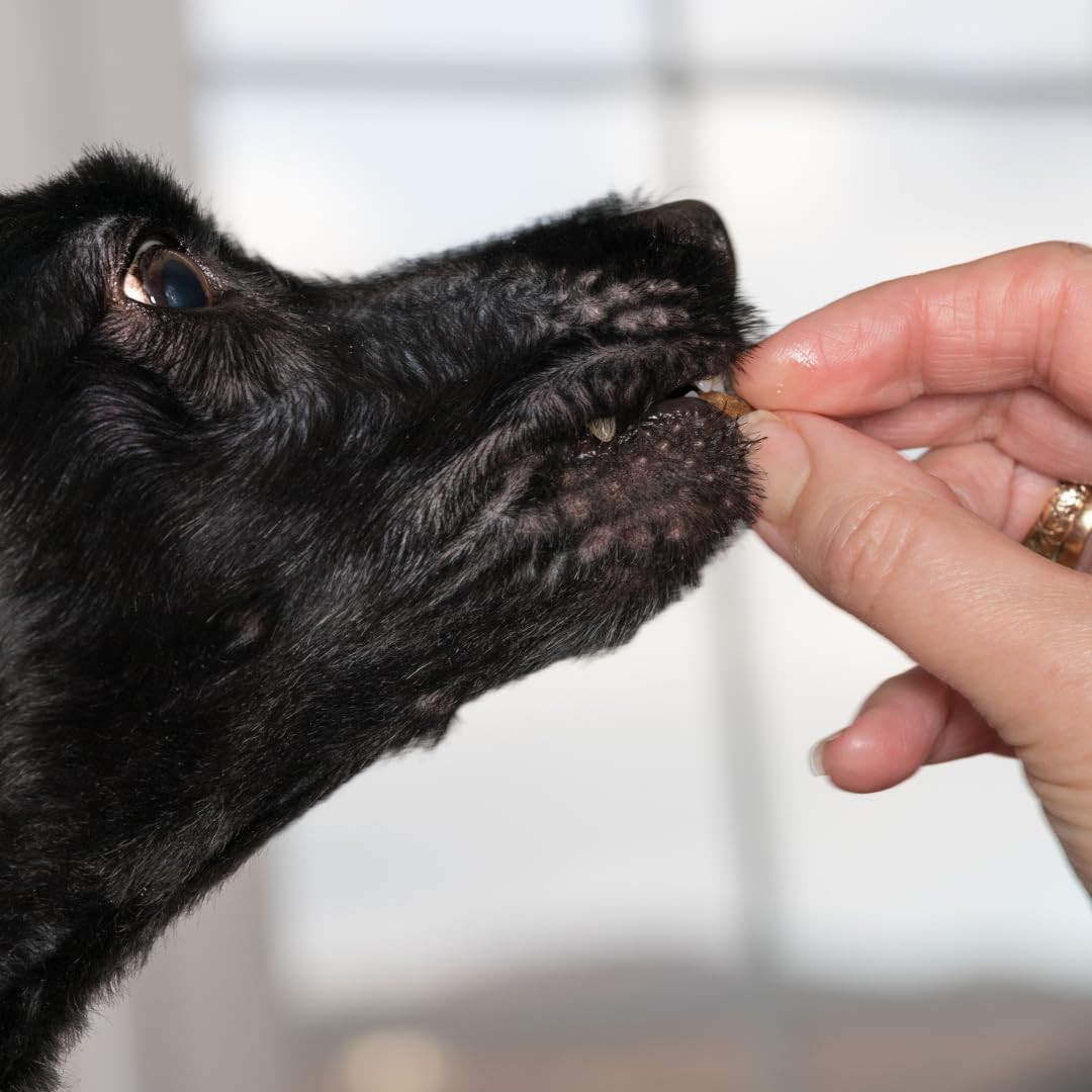 Premios Crujientes de Codorniz: Premios deshidratados gourmet para perros con carne y cáscara de codorniz | Premios saludables premium para el adiestramiento de perros | Ingredientes orgánicos para un paladar feliz