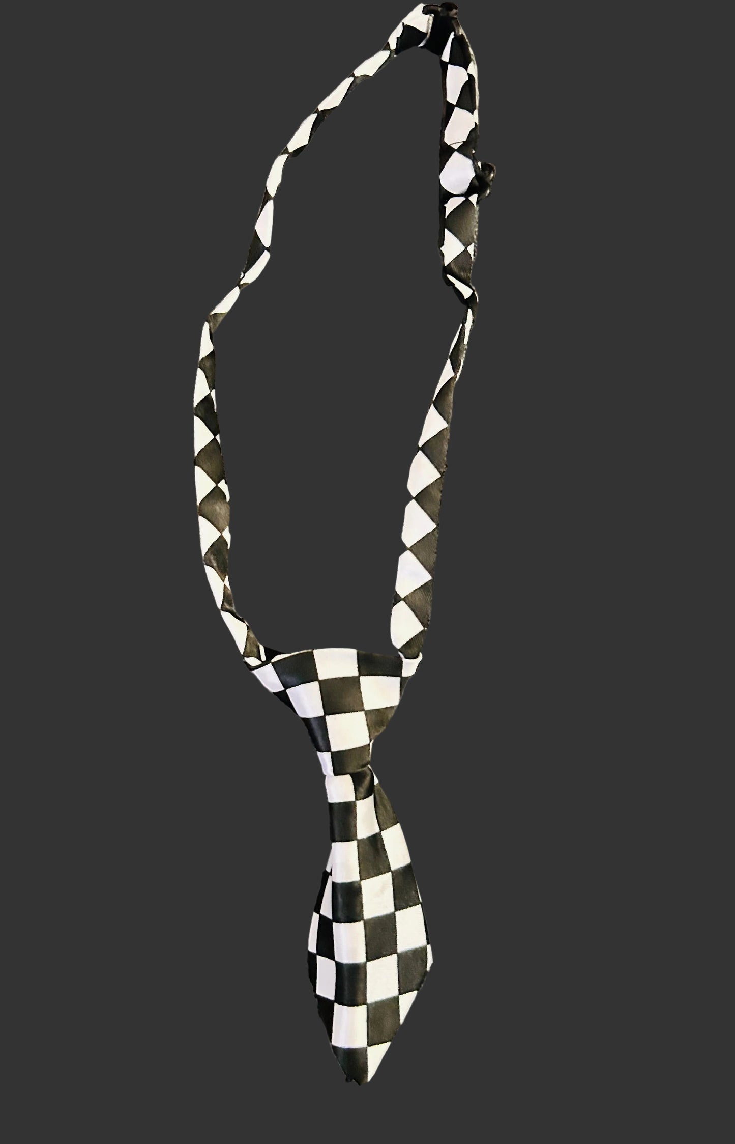 Pet Ties- Dog/Cat