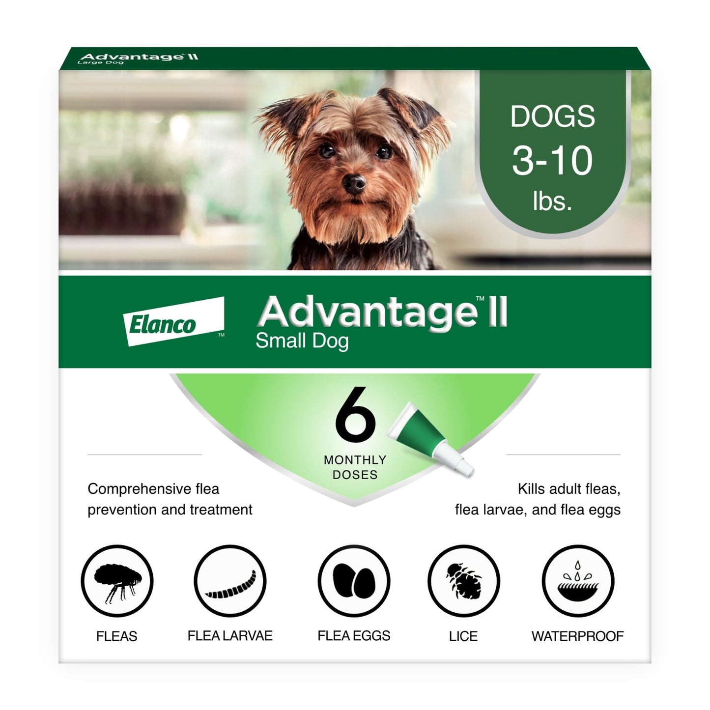 Prévention des puces recommandée par les vétérinaires pour les petits chiens de 1,3 à 4,5 kg, 6 traitements mensuels