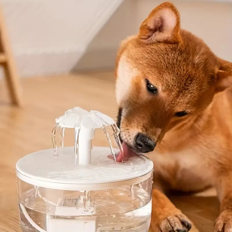 Whisper-Quiet Pet Water Oasis