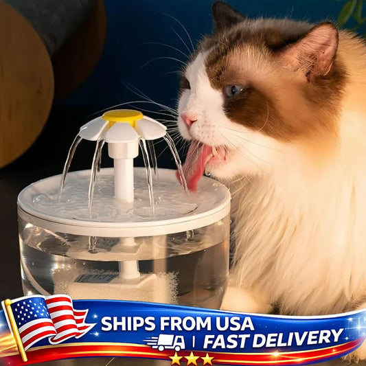 Whisper-Quiet Pet Water Oasis