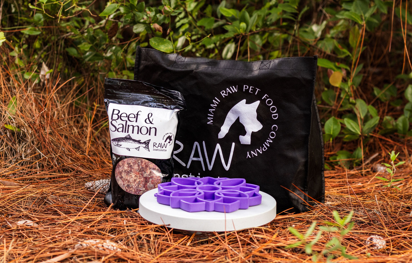 Mélange de bœuf cru et de saumon sauvage pour chats et chiens — Prey Model Raw | Raw Instincts Florida