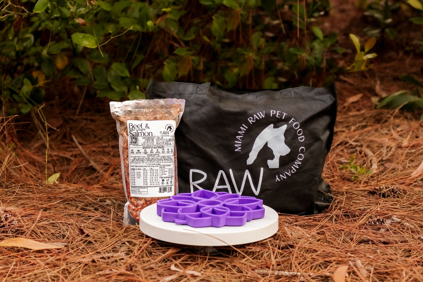 Mélange de bœuf cru et de saumon sauvage pour chats et chiens — Prey Model Raw | Raw Instincts Florida