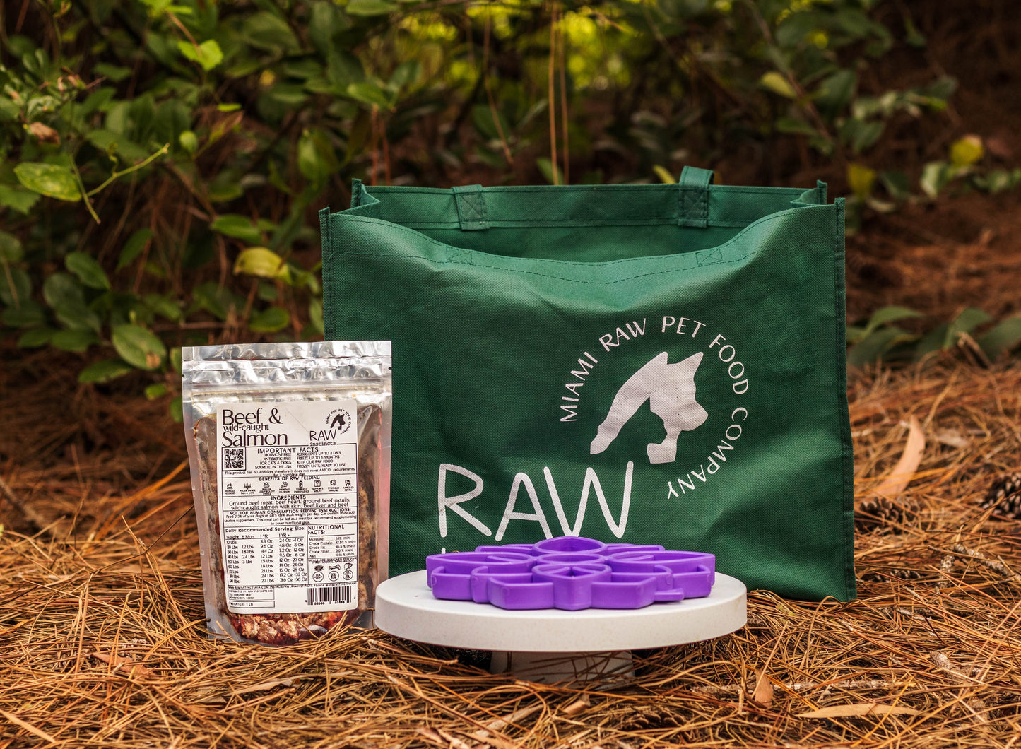 Mélange de bœuf cru et de saumon sauvage pour chats et chiens — Prey Model Raw | Raw Instincts Florida