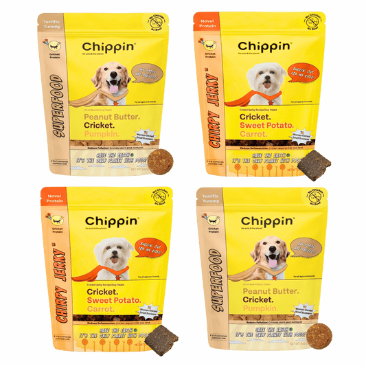 Gut Healthy Dog Treat Variety Bundle