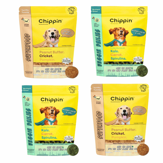 Crunchy Dog Biscuit Bundle, 4-Pack