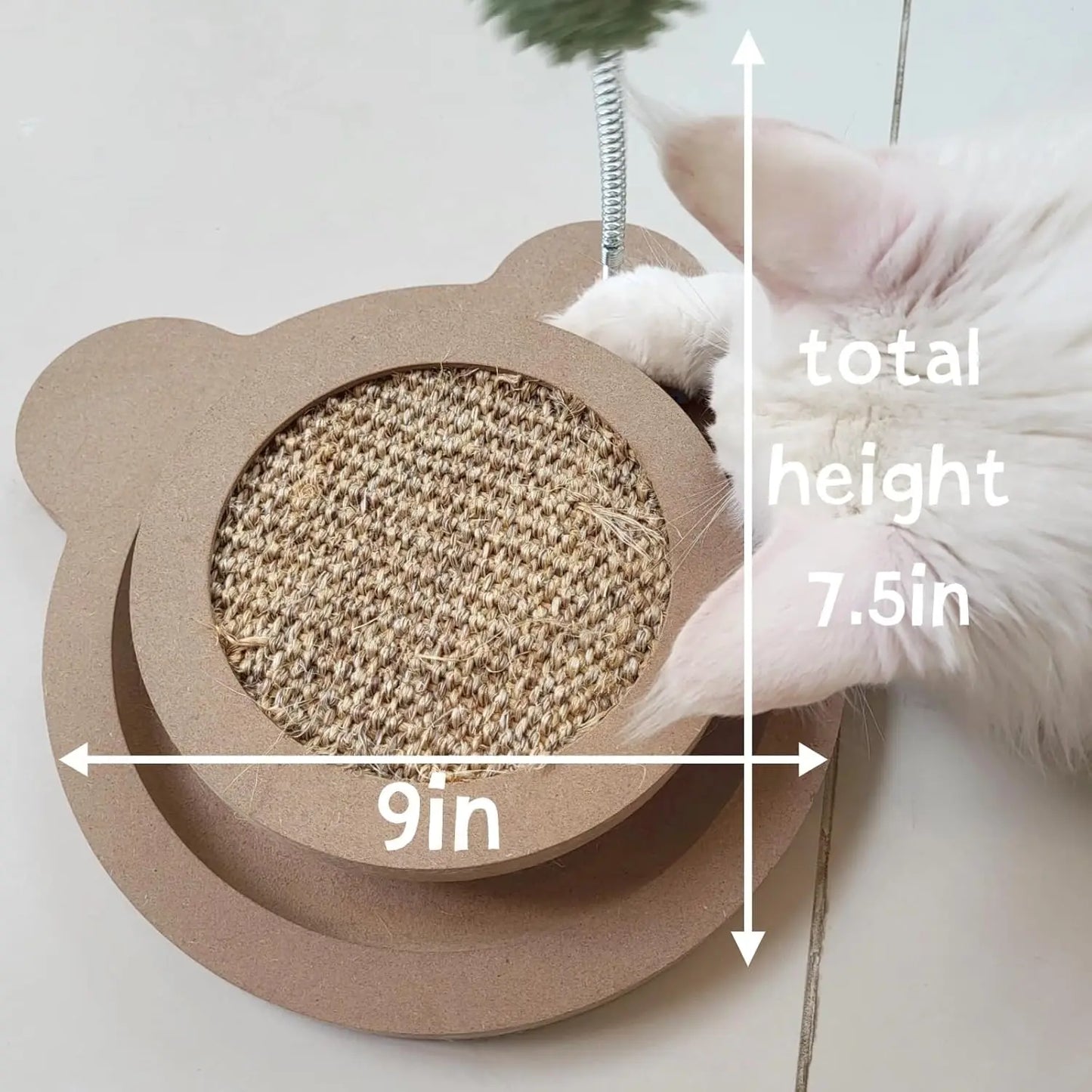Purrfect Playtime Cat Pad