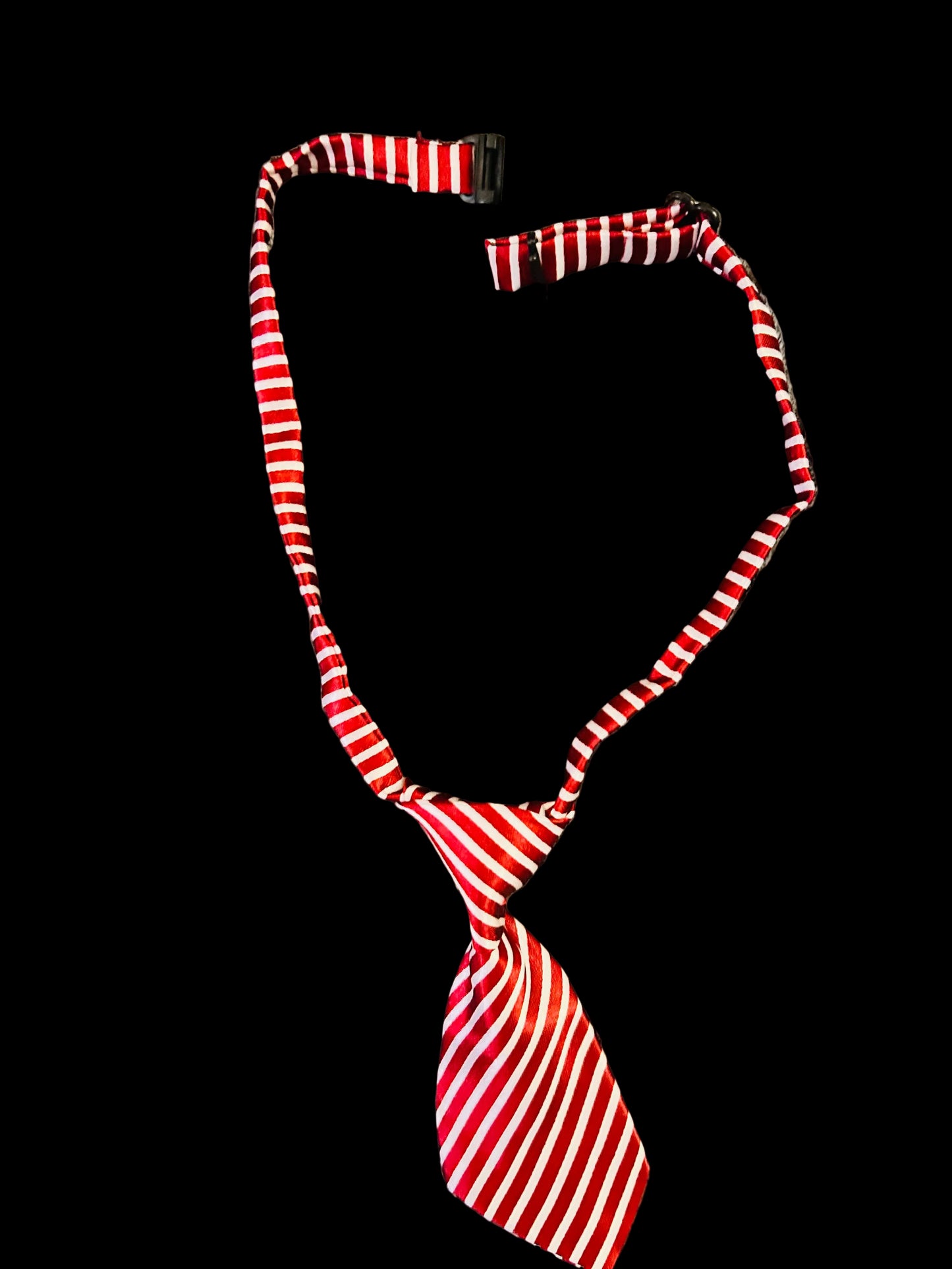 Pet Ties- Dog/Cat
