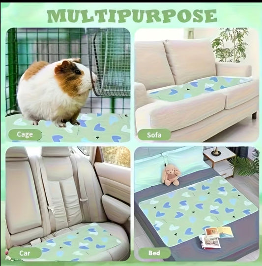 Tapis réutilisable